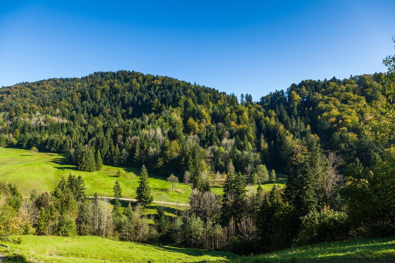 Hotel Bad Rain Mit Oberstaufen Plusgolf Exteriér fotografie