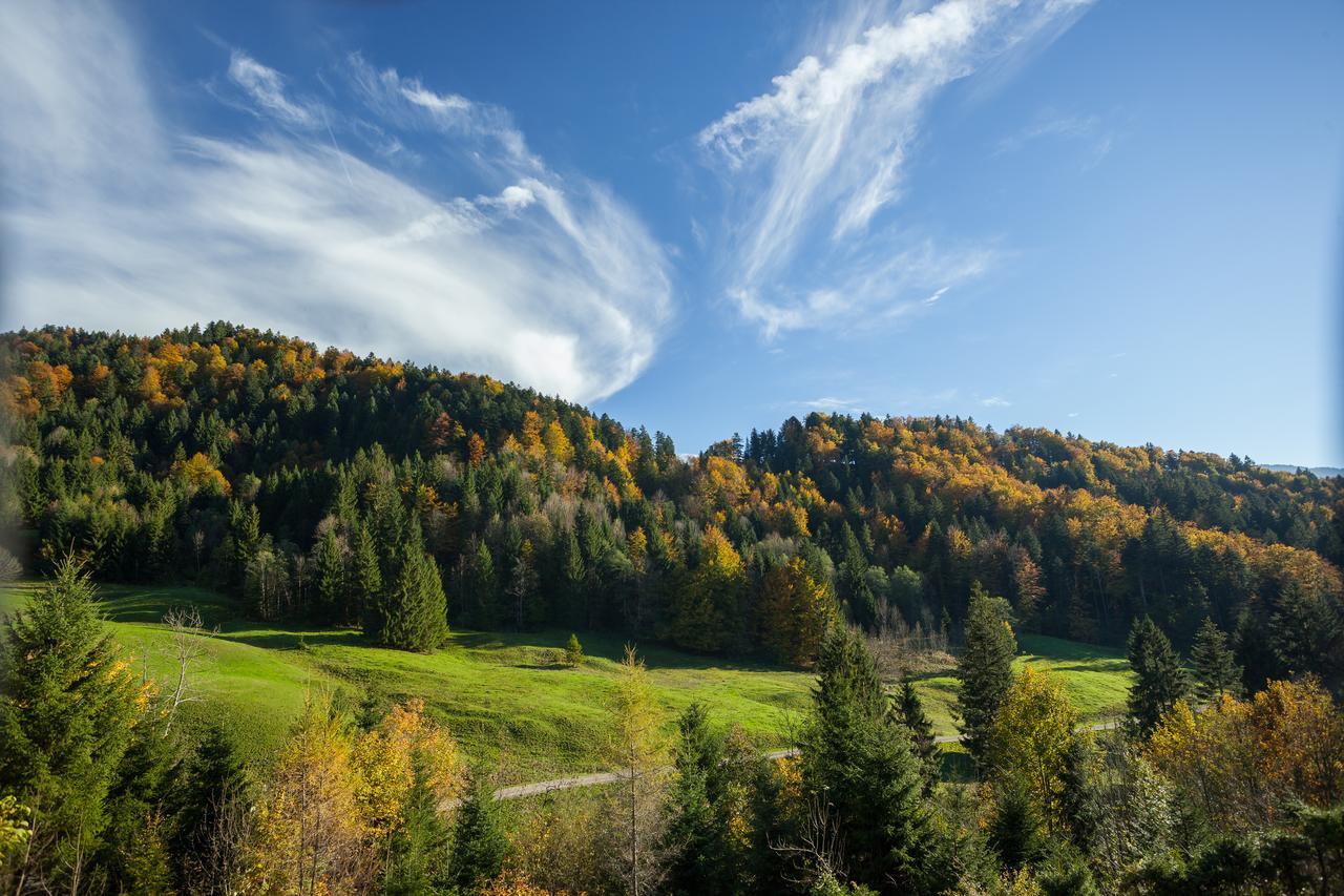 Hotel Bad Rain Mit Oberstaufen Plusgolf Exteriér fotografie